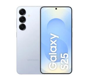 Samsung Galaxy S25 5G 12GB RAM 256GB - Silver (Icyblue) S931B