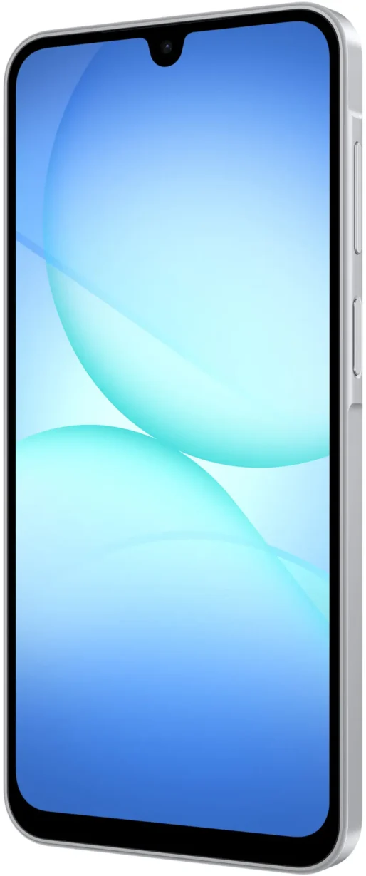 Samsung Galaxy A17 Grå