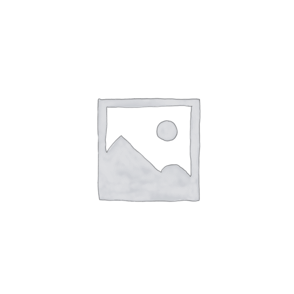 Apple Pencil (1st Generation)